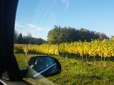 20171020_162004.JPG