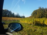 20171020_162008(0).JPG