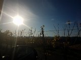 20171020_162521.JPG
