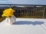 20171021_100322.JPG