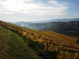20171021_100411.JPG