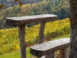 20171021_144659.JPG
