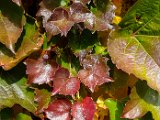 20171021_145043.JPG