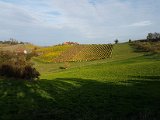 20171021_152736.JPG