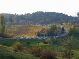 20171021_161042.JPG