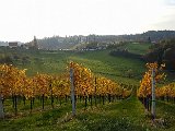 20171021_161945.JPG