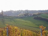 20171021_161950(0).JPG