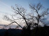 20171021_182112(0).JPG
