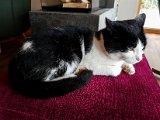 20171022_103828.JPG