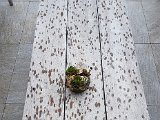 20171022_111834(0).JPG
