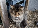 20171022_145513.JPG