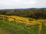 20171023_105331(0).JPG