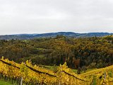 20171023_105417.JPG