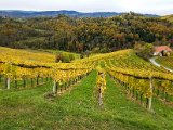 20171023_105421.JPG