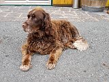 20171023_121910.JPG