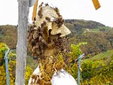 20171023_135854(0).JPG