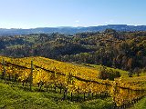 20171024_104150.JPG