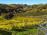 20171024_104154.JPG