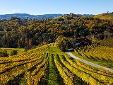 20171024_104243(0).JPG