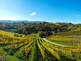20171024_111053.JPG