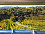 20171024_111346(0).JPG