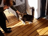20171024_133613.JPG