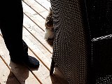 20171024_133639.JPG