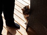 20171024_133642.JPG