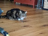 20171024_133815.JPG