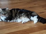 20171024_133921.JPG