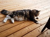 20171024_141514.JPG