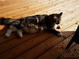20171024_141525(0).JPG