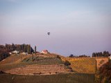 IMG_0545.jpg
