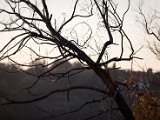 IMG_0612.jpg