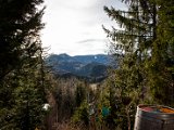 IMG_2348.jpg