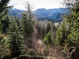IMG_2350.jpg