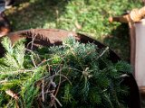 IMG_2374.jpg