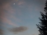 IMG_2705.jpg