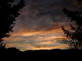 IMG_2707.jpg