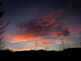IMG_2728.jpg