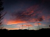 IMG_2732.jpg