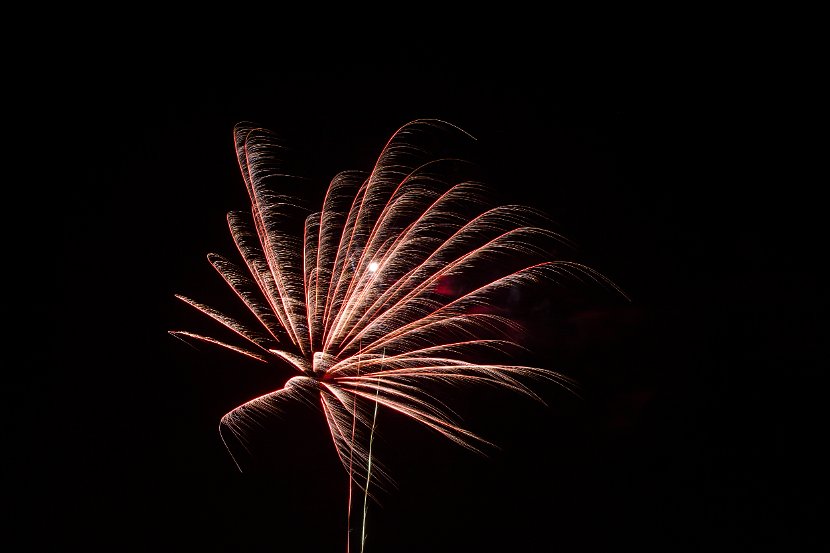 IMG_3546
