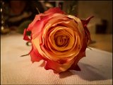 20171013_224053.JPG