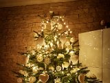 20171230_020502.JPG