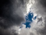 IMG_2602_large.jpg