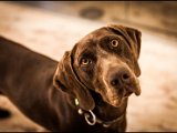 IMG_2614_w_small.jpg