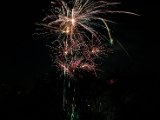 IMG_3505.jpg