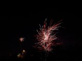 IMG_3511.jpg