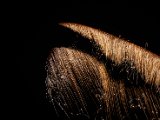 IMG_3513.jpg