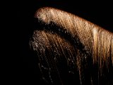 IMG_3514.jpg